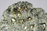 Pyrite Crystals in Matrix - Nærsnes, Norway #177278-1